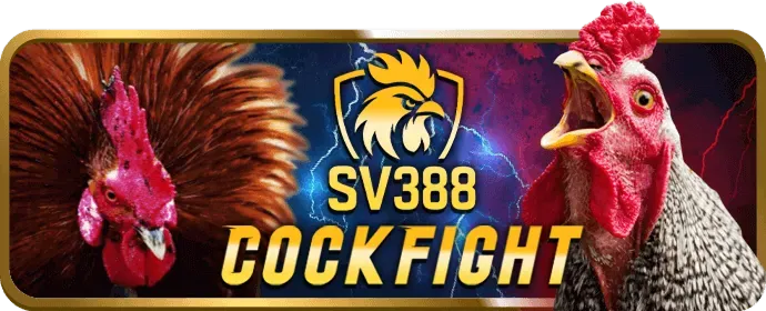 Theo dõi tiến trình VIP của bạn tại subet win