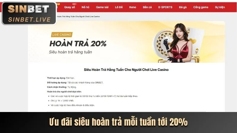 Chương trình VIP subet win